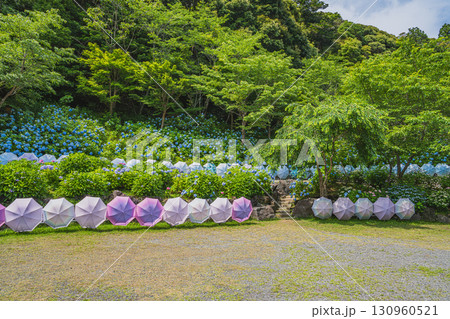 袋井市の法多山尊永寺の風景(静岡県) 130960521