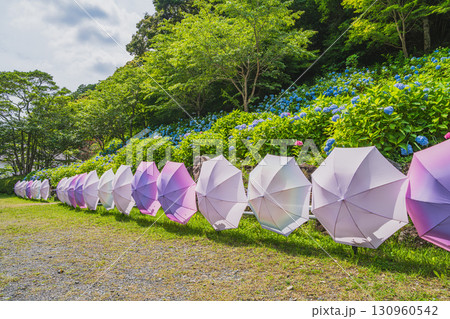 袋井市の法多山尊永寺の風景(静岡県) 袋井市の法多山尊永寺の風景(静岡県) 130960542