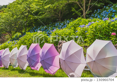 袋井市の法多山尊永寺の風景(静岡県) 130960704