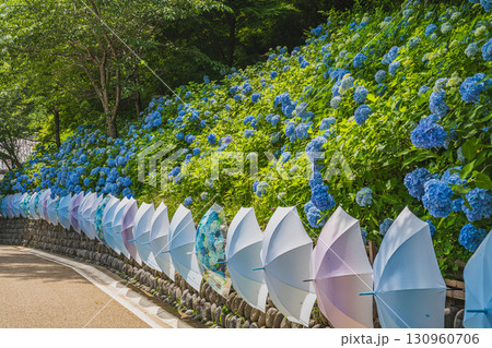 袋井市の法多山尊永寺の風景(静岡県) 130960706