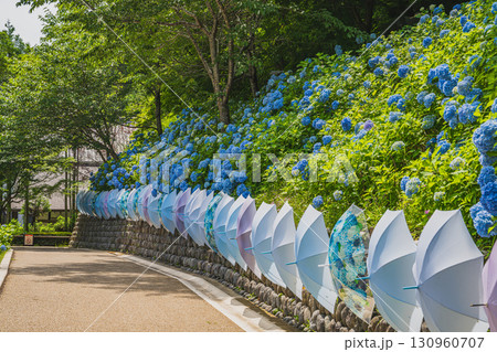袋井市の法多山尊永寺の風景(静岡県) 袋井市の法多山尊永寺の風景(静岡県) 130960707