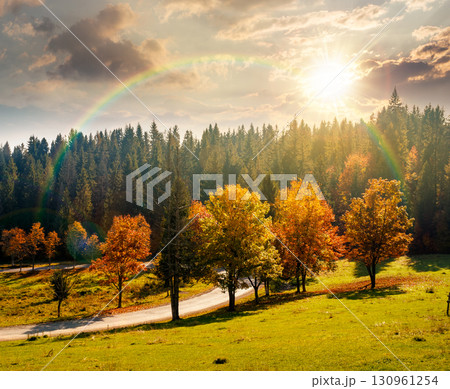 autumn landscape with road through valley at sunset near coniferous forest with trees in colorful leaves. beautiful countryside scene in mountains. scenic place in evening light 130961254