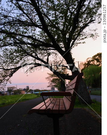 夕焼けと桜とベンチ 130961257