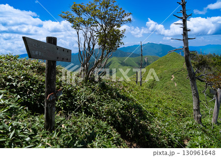 次郎笈から三嶺への縦走路の真夏の風景1 徳島県三好市 次郎笈から三嶺への縦走路の真夏の風景1 徳島県三好市 130961648