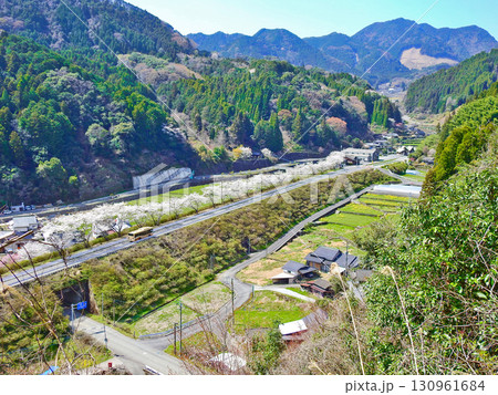 福岡県東峰村の筑前岩屋駅近くの桜並木を走るBRTひこぼしラインのバス 福岡県東峰村の筑前岩屋駅近くの桜並木を走るBRTひこぼしラインのバス 130961684