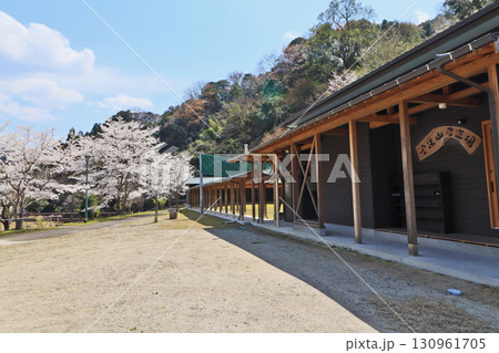 福岡県朝倉郡東峰村にある桜咲く宝珠山弓道場 福岡県朝倉郡東峰村にある桜咲く宝珠山弓道場 130961705