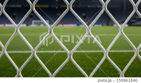 Chain Link Fence with Blurred Soccer Field Background 130961840