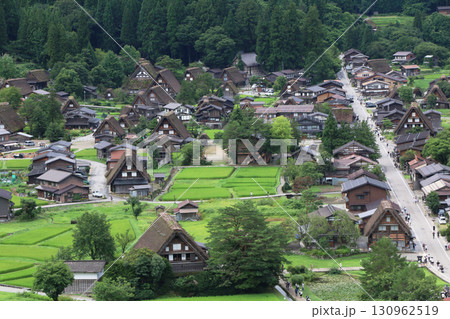 夏の白川郷、城山天守閣展望台から眺める風景 130962519
