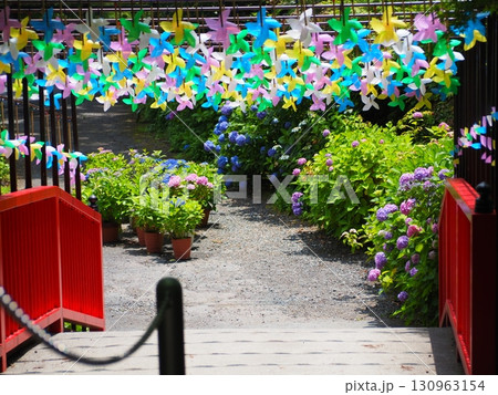 たくさんの風車 130963154