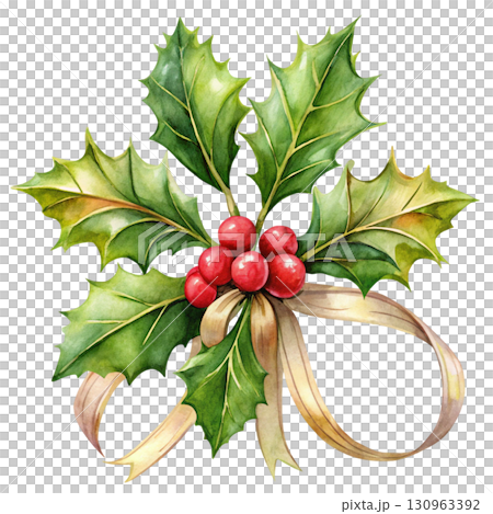 Holly Minimal Watercolor PNG White background 130963392