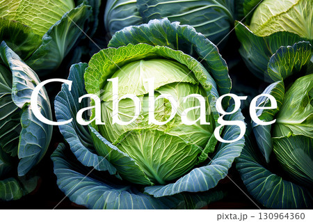並んだキャベツと英語のスペル 130964360