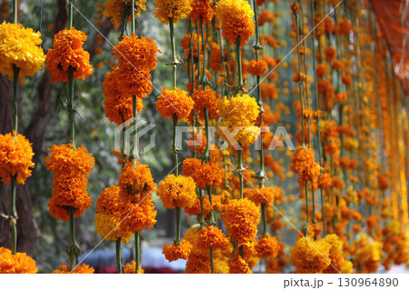 The street is decorated with vertical garlands of orange marigold flowers. Day of the Dead, Diwali decoration. 130964890