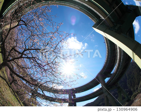 ループ橋と桜と太陽の映える青い空 130964906