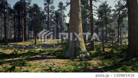 Lush greenery fills a peaceful forest with towering trees. Sunlight breaks through the canopy, casting soft shadows on the forest floor. A tranquil stream flows gently nearby. 130965416