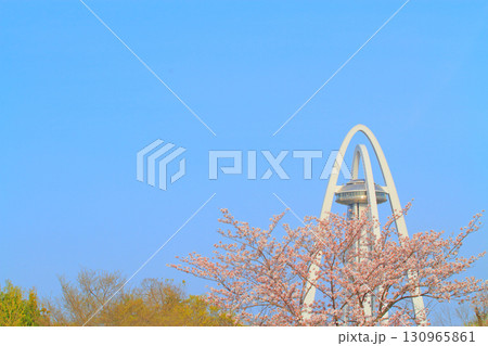 愛知県一宮市、ツインアーチ138と満開の桜の風景 130965861