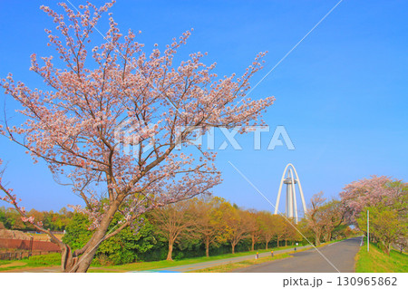 愛知県一宮市、ツインアーチ138と満開の桜の風景 愛知県一宮市、ツインアーチ138と満開の桜の風景 130965862