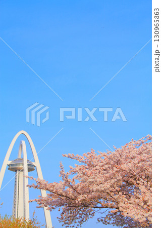 愛知県一宮市、ツインアーチ138と満開の桜の風景 130965863