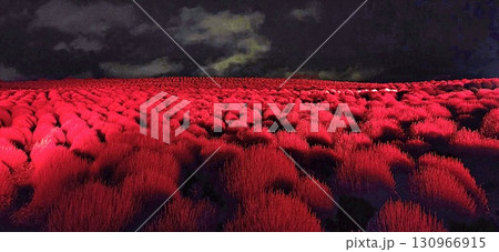 コキアの丘の赤いライトアップ 130966915