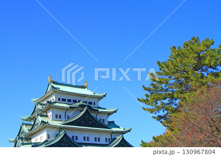 愛知県名古屋市、秋の名古屋城の風景 130967804