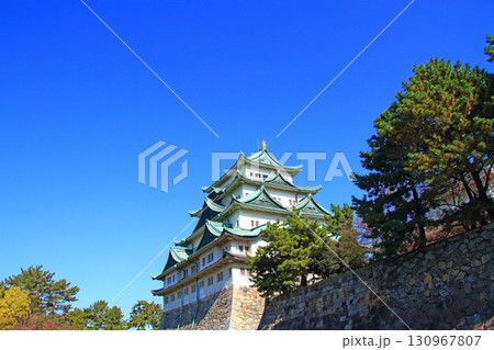 愛知県名古屋市、秋の名古屋城の風景 130967807