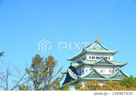 愛知県名古屋市、秋の名古屋城の風景 130967810