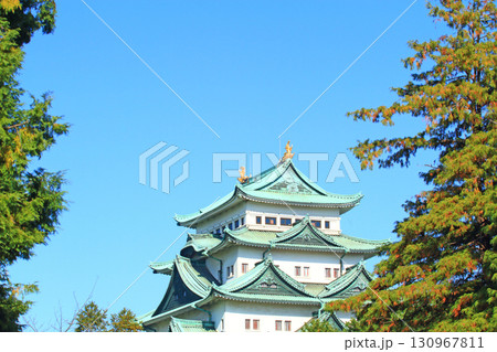 愛知県名古屋市、秋の名古屋城の風景 130967811