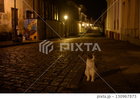 サン・ルイス、夜の街に佇む猫7 サン・ルイス、夜の街に佇む猫7 130967873