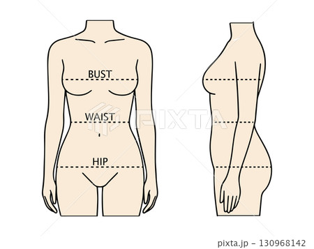 女性ボディサイズ計測ガイドイラスト（バスト・ウエスト・ヒップ） 130968142