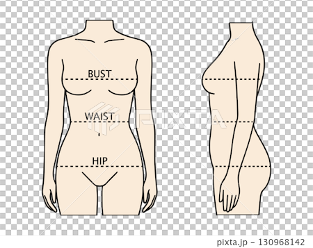 女性ボディサイズ計測ガイドイラスト（バスト・ウエスト・ヒップ） 130968142