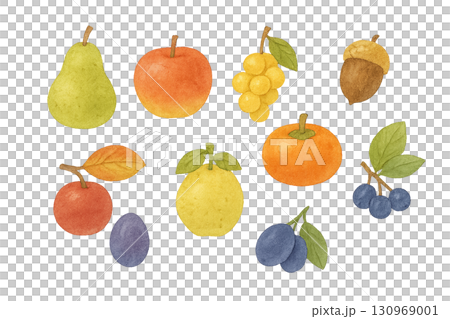 Autumn fruits and acorns watercolor icon (transparent) 130969001
