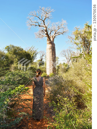 Woman wearing dress with animal pattern walking towards baobab tree, view from behind, bushes and grass growing on red dusty ground Woman wearing dress with animal pattern walking towards baobab tree, view from behind, bushes and grass growing on red dusty ground 130970036