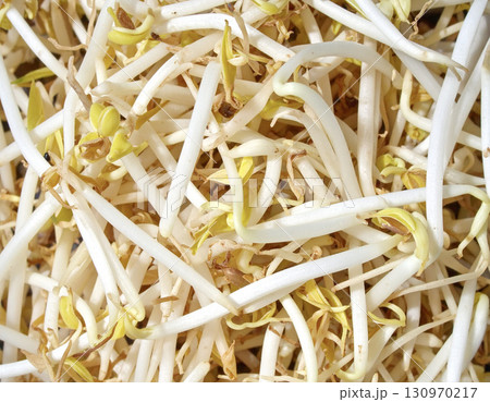 豆もやしのテクスチャ 130970217