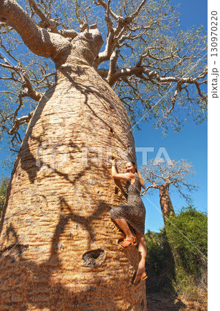 Young woman in sandals climbing up the baobab tree - tourist attraction on Madagascar 130970220