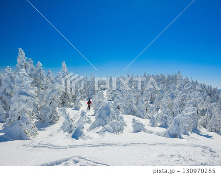 スノーシューで樹氷の森へ入っていくハイカーがいる横手山の冬景色 (長野県、山ノ内町) 130970285