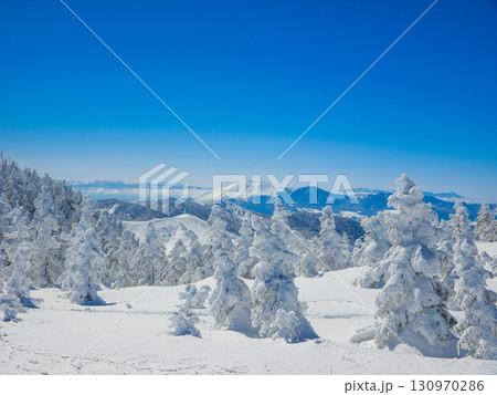 ツリーホールが見られる深い雪と樹氷が広がる雪山の絶景 (長野県、山ノ内町、横手山) ツリーホールが見られる深い雪と樹氷が広がる雪山の絶景 (長野県、山ノ内町、横手山) 130970286