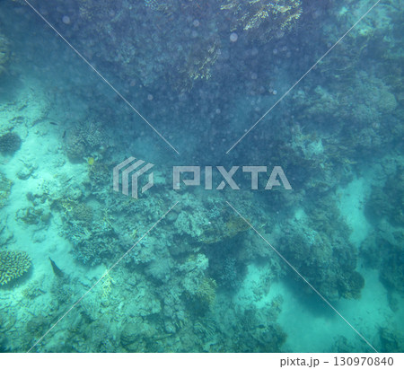 sea fish, coral reef, underwater 130970840