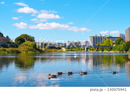仙台市の町並み(広瀬川下流域)【宮城県仙台市】 仙台市の町並み(広瀬川下流域)【宮城県仙台市】 130970941