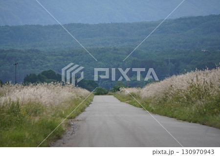 ススキに囲まれた山道 130970943