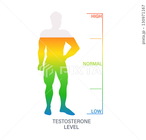 Male body silhouette showing testosterone level from low to high Male body silhouette showing testosterone level from low to high 130971167