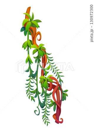 Liana vine vertical branch of tropical jungle rain forest with green leaves, vector plant. Rainforest liana vine with monstera leaf or fern tendrils and creeping ivy sprouts for cartoon Amazon forest 130972300
