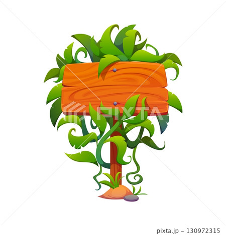 Cartoon wooden sign board decorated tropical jungle leaves and lianas. Wood signboard with creeper plants, roots or thicket. Vector direction sign, banner on pole with hanging rainforest greenery 130972315