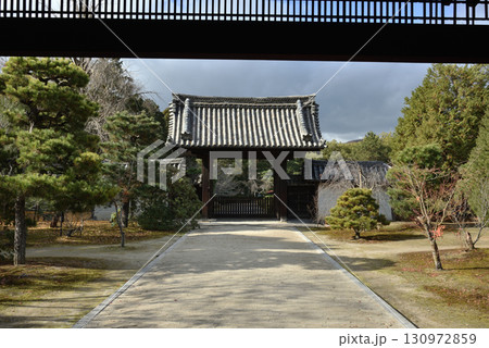 随心院 大玄関から見る薬医門(京都市山科区) 随心院 大玄関から見る薬医門(京都市山科区) 130972859