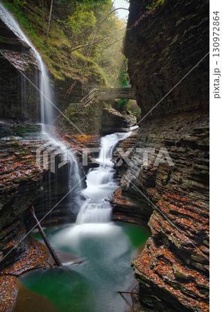 waterfall in the forest 130972864