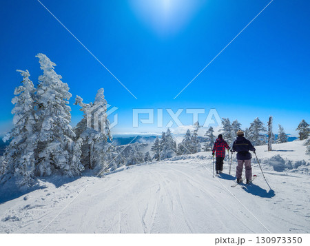 ゲレンデで足を止めて雪山の絶景を眺めるスキーヤー達 (群馬県、中之条町、渋峠) 130973350