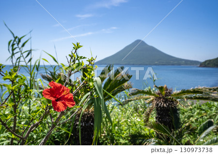 長崎鼻のハイビスカスと開聞岳 130973738
