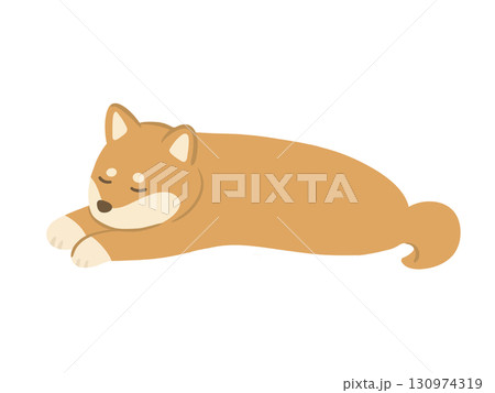 伏せをして寝ている柴犬のイラスト 130974319