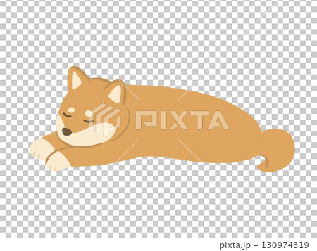 伏せをして寝ている柴犬のイラスト 130974319