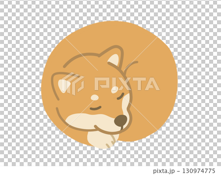 丸まって寝ている柴犬のイラスト　ワンモナイト 130974775