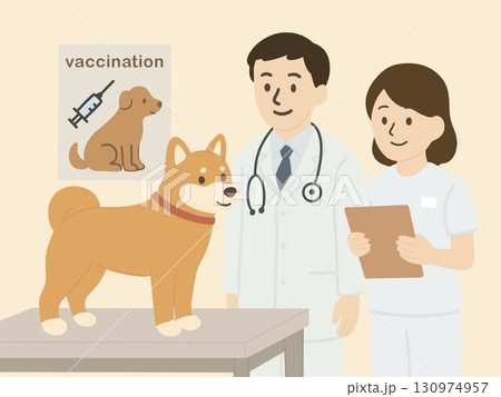 動物病院で診察されている犬と医師の先生のようす　予防接種のポスターあり 130974957