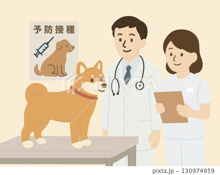 動物病院で診察されている犬と医師の先生のようす　壁に予防接種のポスターあり 130974959